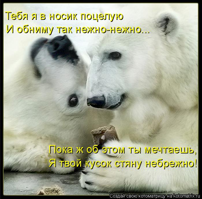 Тебя я в носик поцелую И обниму так нежно-нежно... Пока ж об этом ты мечтаешь, Я твой кусок стяну неб... Котоматрица: Тебя я в носик поцелую И обниму так нежно-нежно... Пока ж об этом ты мечтаешь, Я твой кусок стяну небрежно!