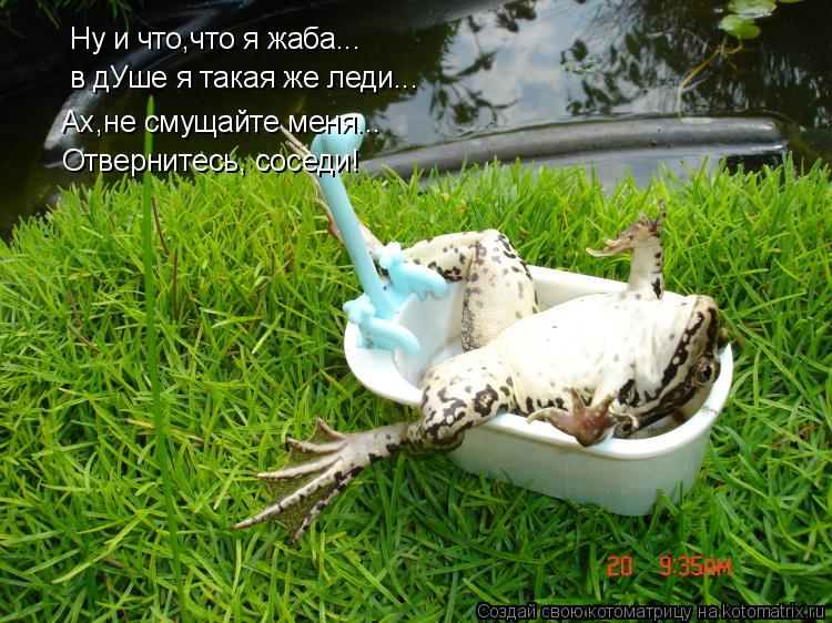 Ну и что,что я жаба... в дУше я такая же леди... Ах,не смущайте меня... Отвернитесь, соседи!... Котоматрица: Ну и что,что я жаба... в дУше я такая же леди... Ах,не смущайте меня... Отвернитесь, соседи!