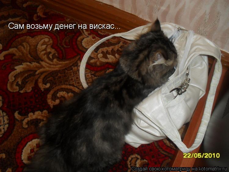 Сам возьму денег на вискас...... Котоматрица: Сам возьму денег на вискас...