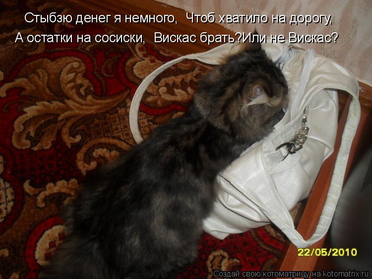 Стыбзю денег я немного, Чтоб хватило на дорогу, А остатки на сосиски, Вискас брать?Или не Вискас?... Котоматрица: Стыбзю денег я немного, Чтоб хватило на дорогу, А остатки на сосиски, Вискас брать?Или не Вискас?