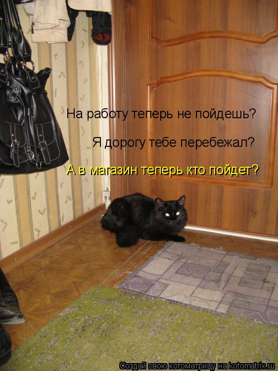 На работу теперь не пойдешь? Я дорогу тебе перебежал? А в магазин теперь кто пойдет?... Котоматрица: На работу теперь не пойдешь? Я дорогу тебе перебежал? А в магазин теперь кто пойдет?