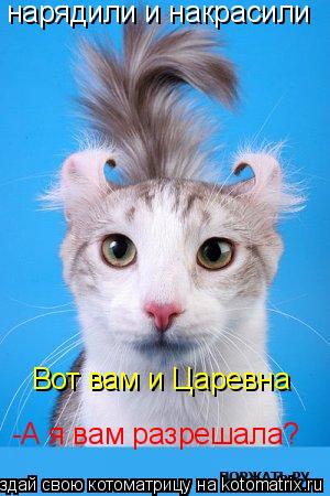 нарядили и накрасили Вот вам и Царевна -А я вам разрешала?... Котоматрица: нарядили и накрасили Вот вам и Царевна -А я вам разрешала?