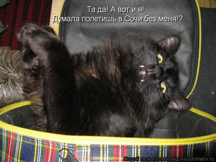 Та да! А вот и я! Думала полетишь в Сочи без меня!?... Котоматрица: Та да! А вот и я! Думала полетишь в Сочи без меня!?