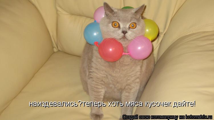 Котоматрица: наиздевались?теперь хоть мяса кусочек дайте!