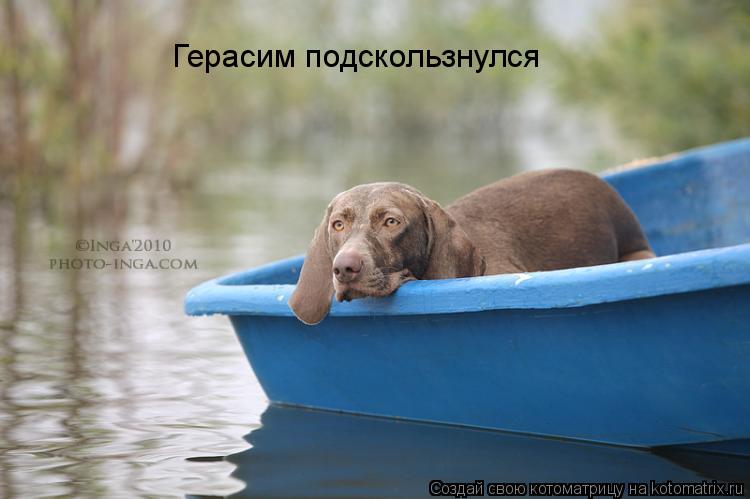 Котоматрица: Герасим подскользнулся