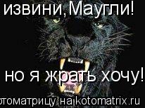 Котоматрица: извини,Маугли! но я жрать хочу!