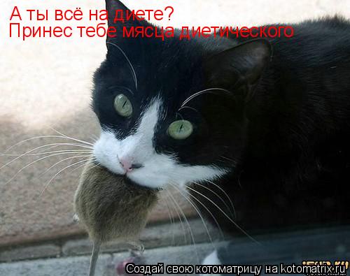 А ты всё на диете? Принес тебе мясца диетического... Котоматрица: А ты всё на диете? Принес тебе мясца диетического
