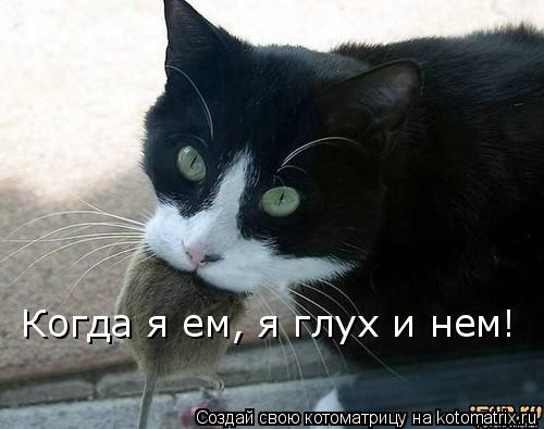 Котоматрица: Когда я ем, я глух и нем!