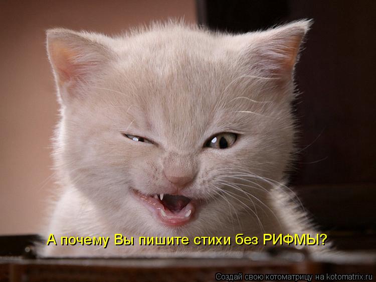 А почему Вы пишите стихи без РИФМЫ?... Котоматрица: А почему Вы пишите стихи без РИФМЫ?