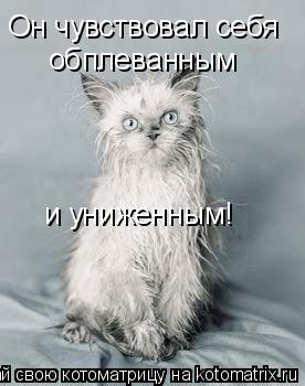 Он чувствовал себя обплеванным и униженным!... Котоматрица: Он чувствовал себя обплеванным и униженным!