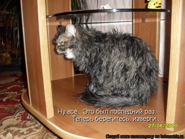 Ну всё.. Это был последний раз. Теперь берегитесь, изверги..... Котоматрица: Ну всё.. Это был последний раз. Теперь берегитесь, изверги..
