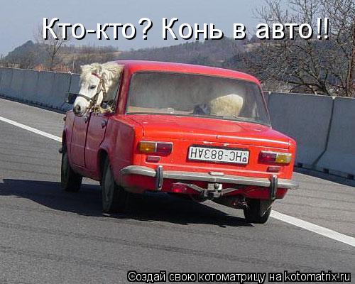 Кто-кто? Конь в авто!!... Котоматрица: Кто-кто? Конь в авто!!