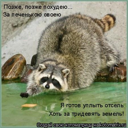 Позже, позже похудею... За печенькою своею Я готов уплыть отсель Хоть за тридевять земель!... Котоматрица: Позже, позже похудею... За печенькою своею Я готов уплыть отсель Хоть за тридевять земель!