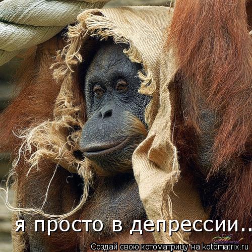 я просто в депрессии....... Котоматрица: я просто в депрессии....