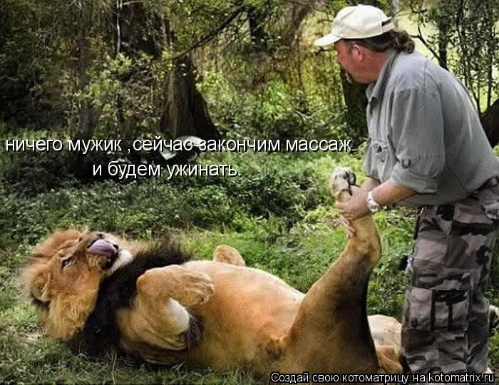 Котоматрица: ничего мужик ,сейчас закончим массаж и будем ужинать.