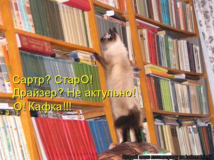 - Сартр? СтарО! О! Кафка!!! Драйзер? Не актульно!... Котоматрица: - Сартр? СтарО! О! Кафка!!! Драйзер? Не актульно!