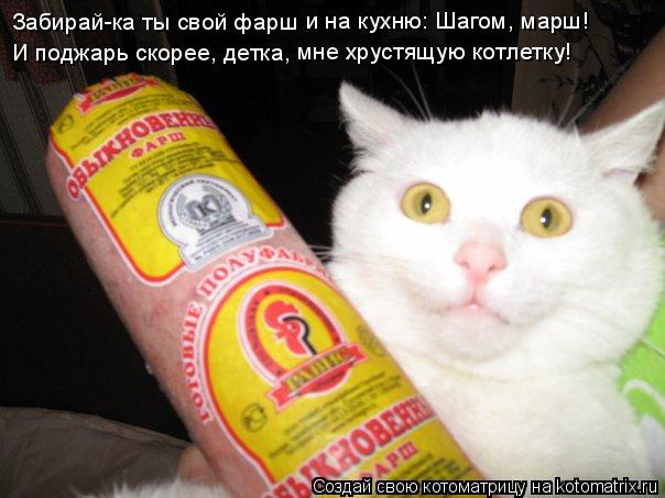 Забирай-ка ты свой фарш и на кухню: Шагом, марш! И поджарь скорее, детка, мне хрустящую котлетку!... Котоматрица: Забирай-ка ты свой фарш и на кухню: Шагом, марш! И поджарь скорее, детка, мне хрустящую котлетку!