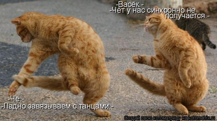-Васёк.- -Чёт у нас синхронно не получается.- -Чё.- -Ладно завязываем с танцами.-... Котоматрица: -Васёк.- -Чёт у нас синхронно не получается.- -Чё.- -Ладно завязываем с танцами.-