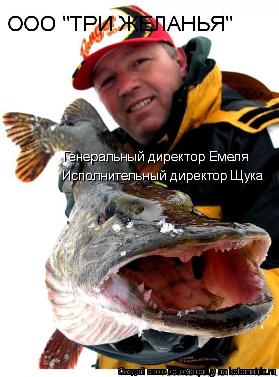 Котоматрица: ООО "ТРИ ЖЕЛАНЬЯ" Исполнительный директор Щука Генеральный директор Емеля