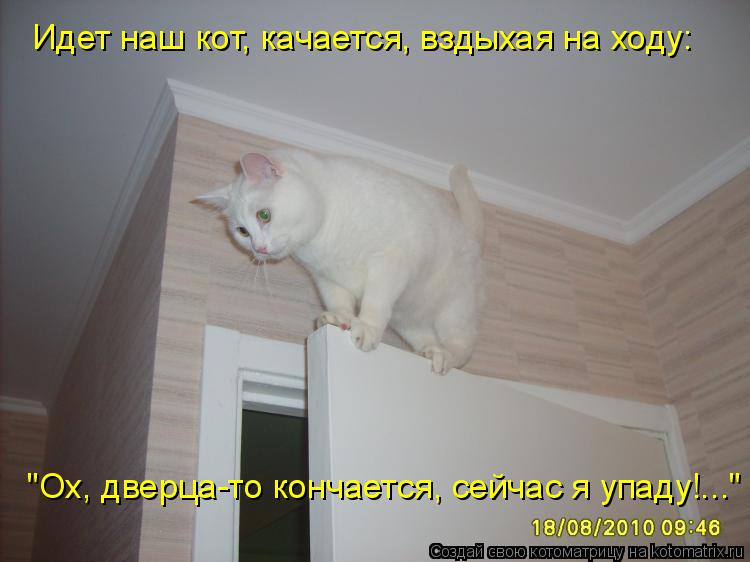 Идет наш кот, качается, вздыхая на ходу: "Ох, дверца-то кончается, сейчас я упаду!..."... Котоматрица: Идет наш кот, качается, вздыхая на ходу: "Ох, дверца-то кончается, сейчас я упаду!..."