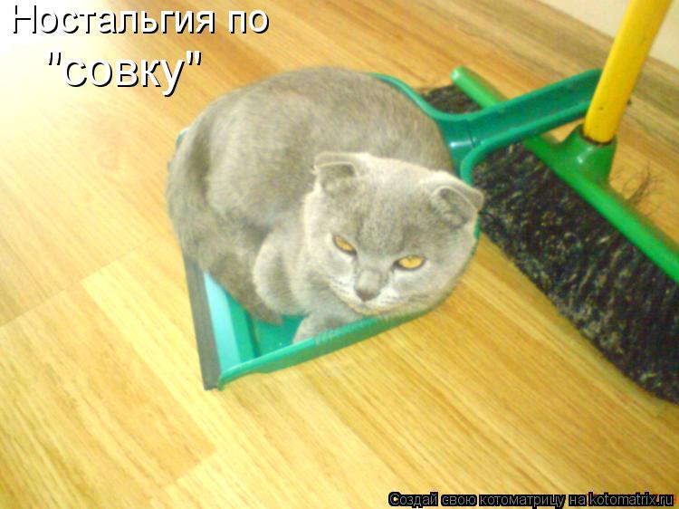 Ностальгия по "совку"... Котоматрица: Ностальгия по "совку"