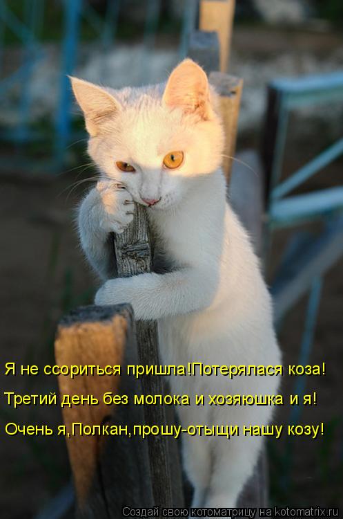 Я не ссориться пришла!Потерялася коза! Третий день без молока и хозяюшка и я! Очень я,Полкан,прошу-от... Котоматрица: Я не ссориться пришла!Потерялася коза! Третий день без молока и хозяюшка и я! Очень я,Полкан,прошу-отыщи нашу козу!