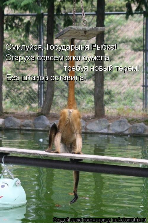 Cмилуйся, Государыня Рыбка! Старуха совсем ополоумела, требуя новый терем! Без штанов оставила!..... Котоматрица: Cмилуйся, Государыня Рыбка! Старуха совсем ополоумела, требуя новый терем! Без штанов оставила!..