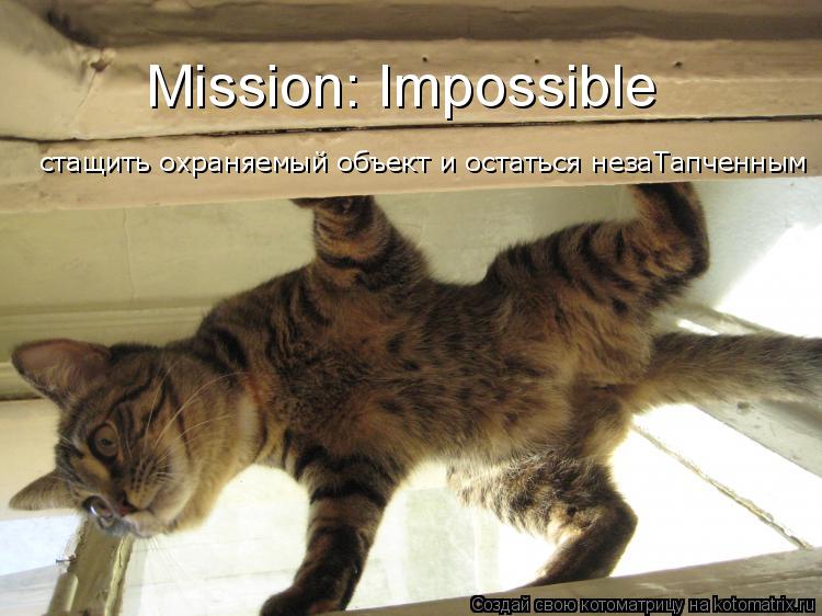 Mission: Impossible стащить охраняемый объект и остаться незаТапченным... Котоматрица: Mission: Impossible стащить охраняемый объект и остаться незаТапченным