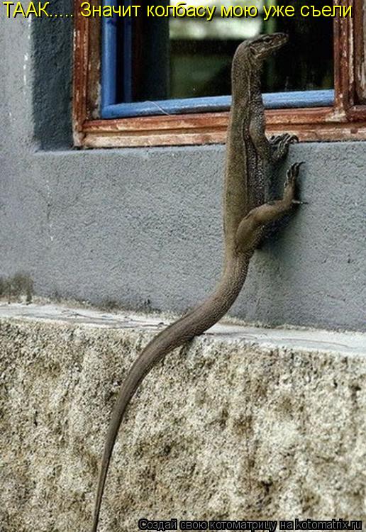 ТААК..... Значит колбасу мою уже съели... Котоматрица: ТААК..... Значит колбасу мою уже съели
