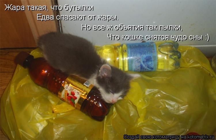 Жара такая, что бутылки Едва спасают от жары. Но все ж объятия так пылки, Но все ж объятия так пылки,... Котоматрица: Жара такая, что бутылки Едва спасают от жары. Но все ж объятия так пылки, Но все ж объятия так пылки, Что кошке снятся чудо сны :)