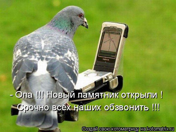 Котоматрица: - Опа !!! Новый памятник открыли ! Срочно всех наших обзвонить !!!