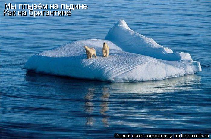 Мы плывём на льдине Как на бригантине... Котоматрица: Мы плывём на льдине Как на бригантине