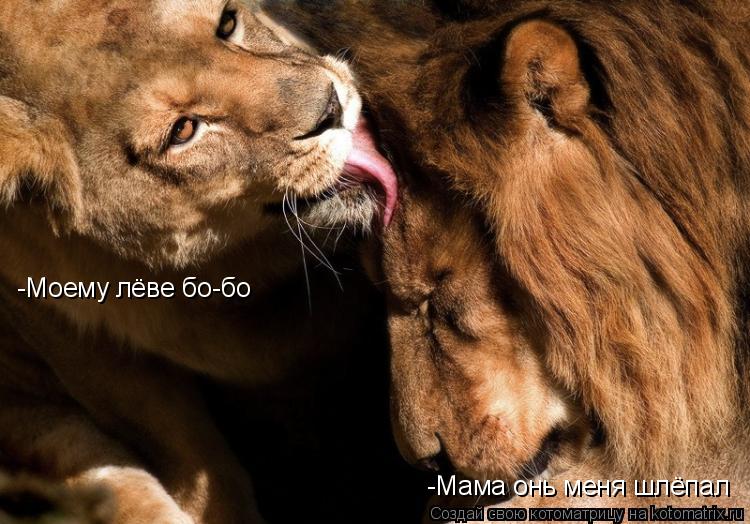 -Моему лёве бо-бо -Мама онь меня шлёпал... Котоматрица: -Моему лёве бо-бо -Мама онь меня шлёпал