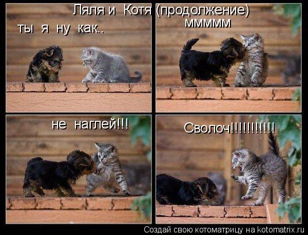 Ляля и Котя (продолжение) ты я ну как.. ммммм не наглей!!! Сволоч!!!!!!!!!!!... Котоматрица: Ляля и Котя (продолжение) ты я ну как.. ммммм не наглей!!! Сволоч!!!!!!!!!!!