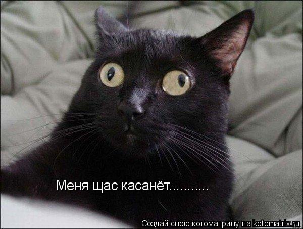 Меня щас касанёт.............. Котоматрица: Меня щас касанёт...........