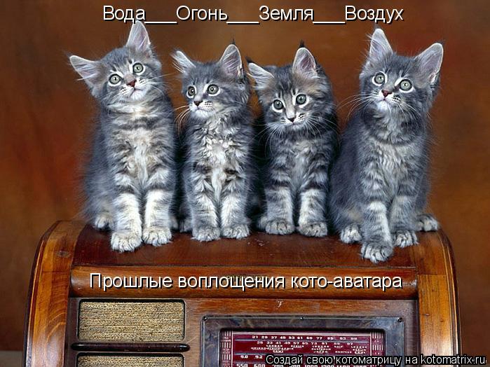 Вода___Огонь___Земля___Воздух Прошлые воплощения кото-аватара... Котоматрица: Вода___Огонь___Земля___Воздух Прошлые воплощения кото-аватара