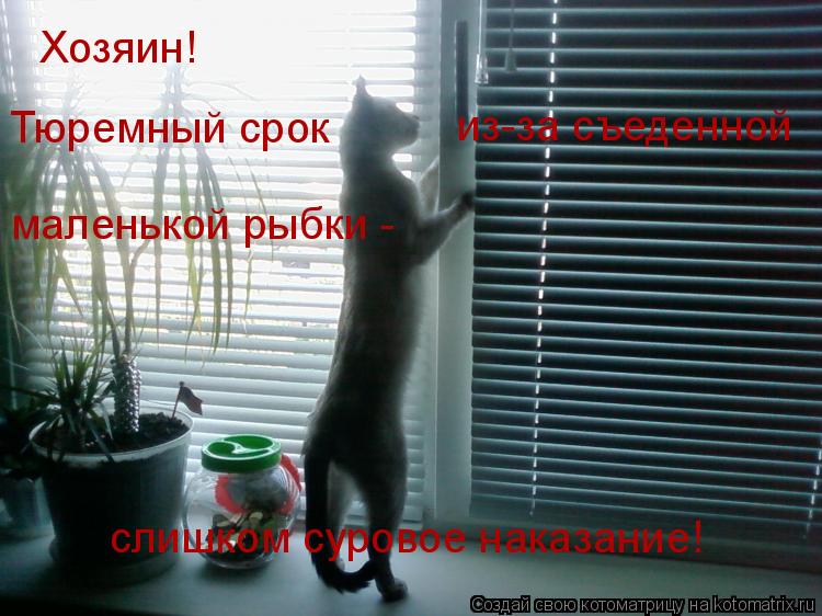 Хозяин! Тюремный срок из-за съеденной маленькой рыбки - слишком суровое наказание!... Котоматрица: Хозяин! Тюремный срок из-за съеденной маленькой рыбки - слишком суровое наказание!