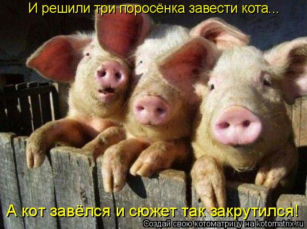 И решили три поросёнка завести кота... А кот завёлся и сюжет так закрутился!... Котоматрица: И решили три поросёнка завести кота... А кот завёлся и сюжет так закрутился!
