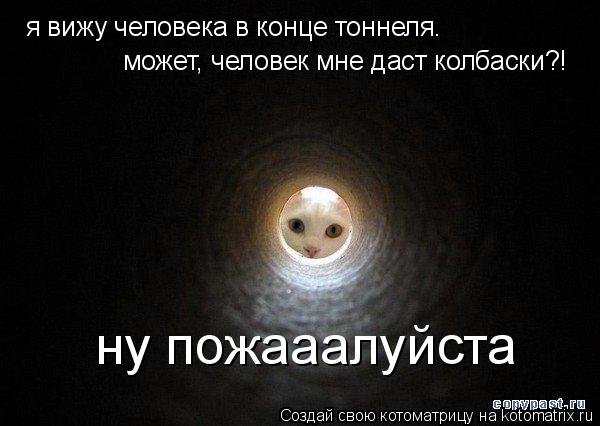 я вижу человека в конце тоннеля. может, человек мне даст колбаски?! ну пожааалуйста... Котоматрица: я вижу человека в конце тоннеля. может, человек мне даст колбаски?! ну пожааалуйста