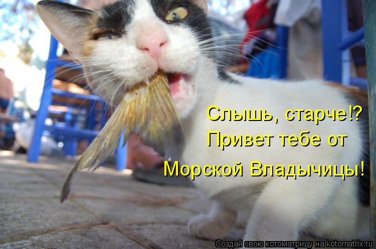 Слышь, старче!? Привет тебе от Морской Владычицы!... Котоматрица: Слышь, старче!? Привет тебе от Морской Владычицы!