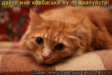 дайте мне ковбаськи ну пожаалуйста!... Котоматрица: дайте мне ковбаськи ну пожаалуйста!