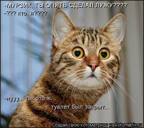 -МУРЗИК, ТЫ ОПЯТЬ СДЕЛАЛ ЛУЖУ???? -??? кто, я???? -нууу... так это ж... туалет был закрыт...... Котоматрица: -МУРЗИК, ТЫ ОПЯТЬ СДЕЛАЛ ЛУЖУ???? -??? кто, я???? -нууу... так это ж... туалет был закрыт...