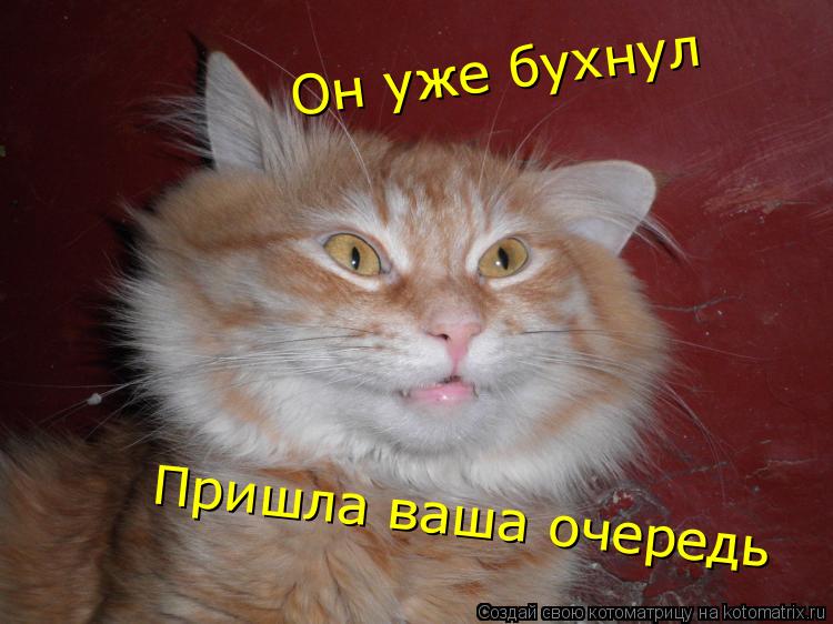 Он уже бухнул Пришла ваша очередь... Котоматрица: Он уже бухнул Пришла ваша очередь