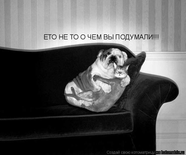 ЕТО НЕ ТО О ЧЕМ ВЫ ПОДУМАЛИ!!!... Котоматрица: ЕТО НЕ ТО О ЧЕМ ВЫ ПОДУМАЛИ!!!