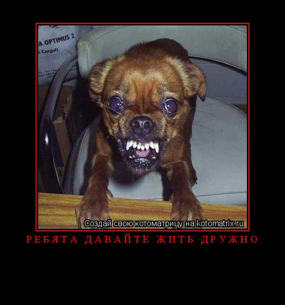 ... Котоматрица: