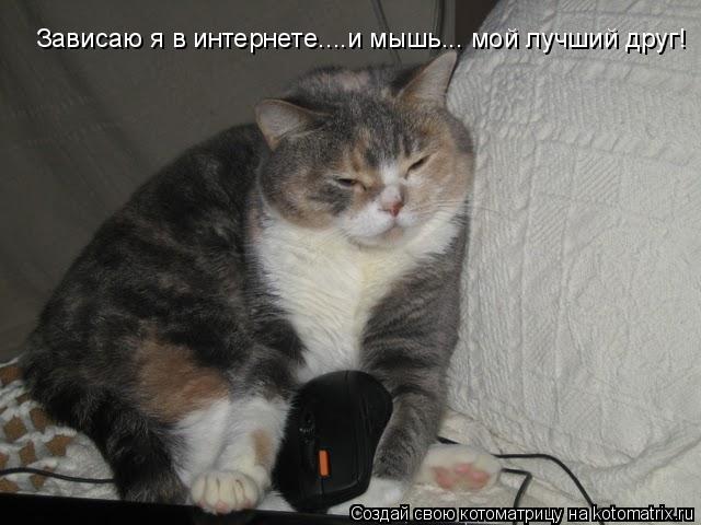 Зависаю я в интернете....и мышь... мой лучший друг!... Котоматрица: Зависаю я в интернете....и мышь... мой лучший друг!