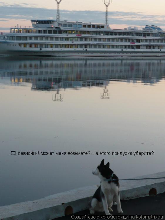 Ей девчонки! может меня возьмете?... а этого придурка уберите?... Котоматрица: Ей девчонки! может меня возьмете?... а этого придурка уберите?