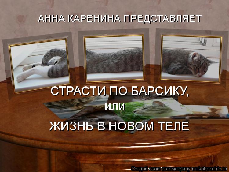 АННА КАРЕНИНА ПРЕДСТАВЛЯЕТ или ЖИЗНЬ В НОВОМ ТЕЛЕ СТРАСТИ ПО БАРСИКУ,... Котоматрица: АННА КАРЕНИНА ПРЕДСТАВЛЯЕТ или ЖИЗНЬ В НОВОМ ТЕЛЕ СТРАСТИ ПО БАРСИКУ,