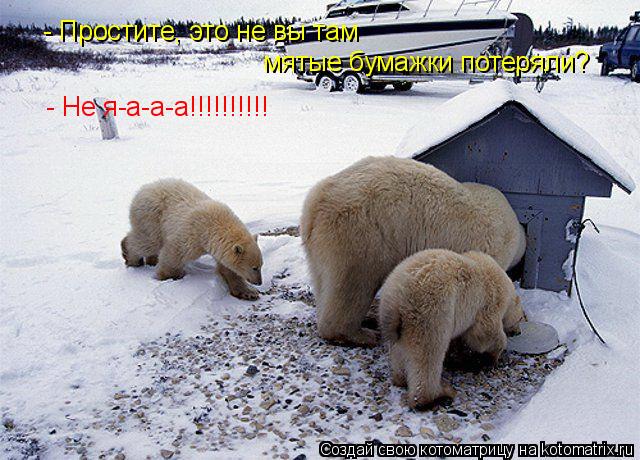 - Простите, это не вы там мятые бумажки потеряли? - Не я-а-а-а!!!!!!!!!!... Котоматрица: - Простите, это не вы там мятые бумажки потеряли? - Не я-а-а-а!!!!!!!!!!