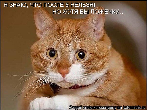Я ЗНАЮ, ЧТО ПОСЛЕ 6 НЕЛЬЗЯ! НО ХОТЯ БЫ ЛОЖЕЧКУ...... Котоматрица: Я ЗНАЮ, ЧТО ПОСЛЕ 6 НЕЛЬЗЯ! НО ХОТЯ БЫ ЛОЖЕЧКУ...